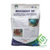 MaxGrout-GP-M500-lasencorp